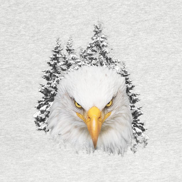 Great bald eagle head in background of snowy pine trees by Ariela-Alez